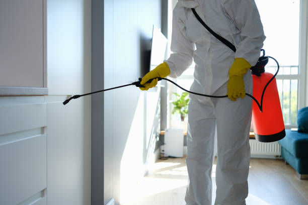 Best Professional Mold Removal  in Al Creek, CO